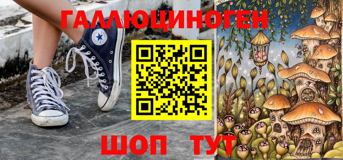Псилоцибиновые грибы Cubensis Лесосибирск